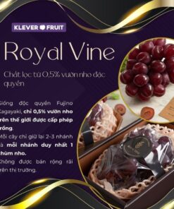 Nho Royal Vine Hàn Quốc