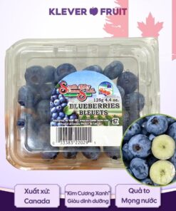 Việt Quất Canada